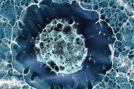 بهبود هفتمین بیمار مبتلا به HIV با پیوند سلول‌های بنیادی