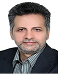 دکتر سید ابوالحسن شاهزاده فاضلی